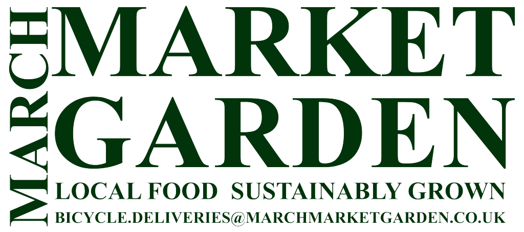 MARCH MARKET GARDEN